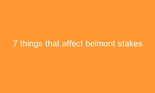7 things that affect belmont stakes 63237 1 - 7 things that affect belmont stakes